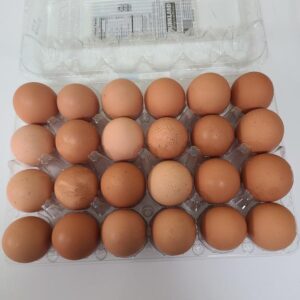 Eggs - 2 Dozen XL/Lg Chicken