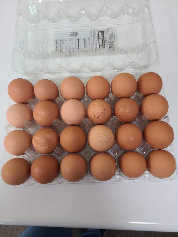 16815775632565124590122308289659