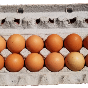 Eggs - 1 Dozen XL/Lg Chicken
