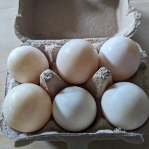 Eggs - Duck - 6 eggs Non-GMO, Soy Free