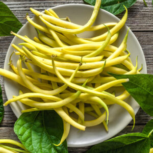 Seedlings - Beans Golden Wax Seedlings