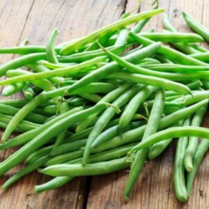 Seedlings - Beans Momentum Bush Seedlings